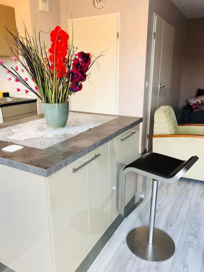 Апартаменты Near Disneyland. Your Location To Enjoy Holidays. Бюсси-Сен-Жорж Экстерьер фото